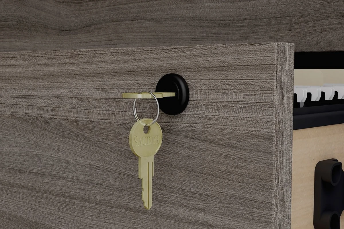 Affiliate Lateral Filer 7 Affiliate Lateral Filer - Image 5