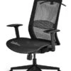 Belleville Ergonomic Mesh Office Chair -Office Furniture Store belleville 1