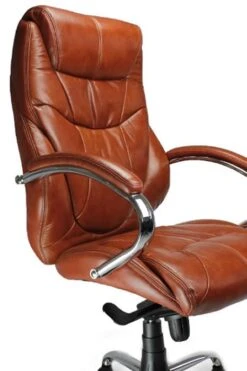 Bernera Executive Office Chair -Office Furniture Store bernera tan 2