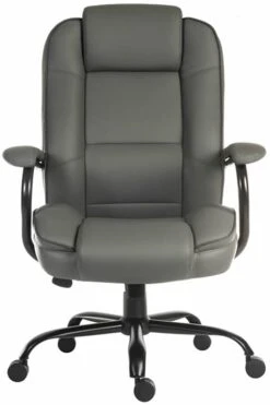 Charon Executive Office Chair -Office Furniture Store charon grey 2