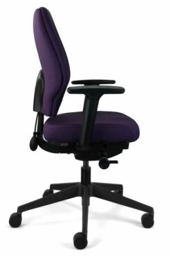 Chiro Support -Office Furniture Store chiro support 3