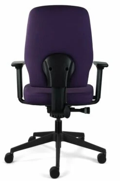 Chiro Support -Office Furniture Store chiro support 5