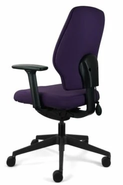 Chiro Support -Office Furniture Store chiro support 6