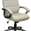 Colorado Executive Office Chair -Office Furniture Store colorado cream