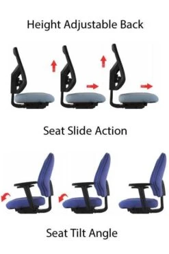 Chiro Support -Office Furniture Store download 9 1