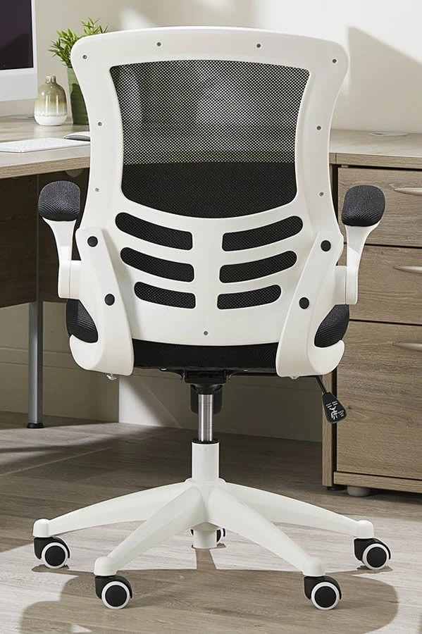Ergo Mesh Chair 7 Ergo Mesh Chair - Image 5