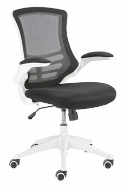 Ergo Mesh Chair 21 Ergo Mesh Chair -Office Furniture Store ergo mesh 9