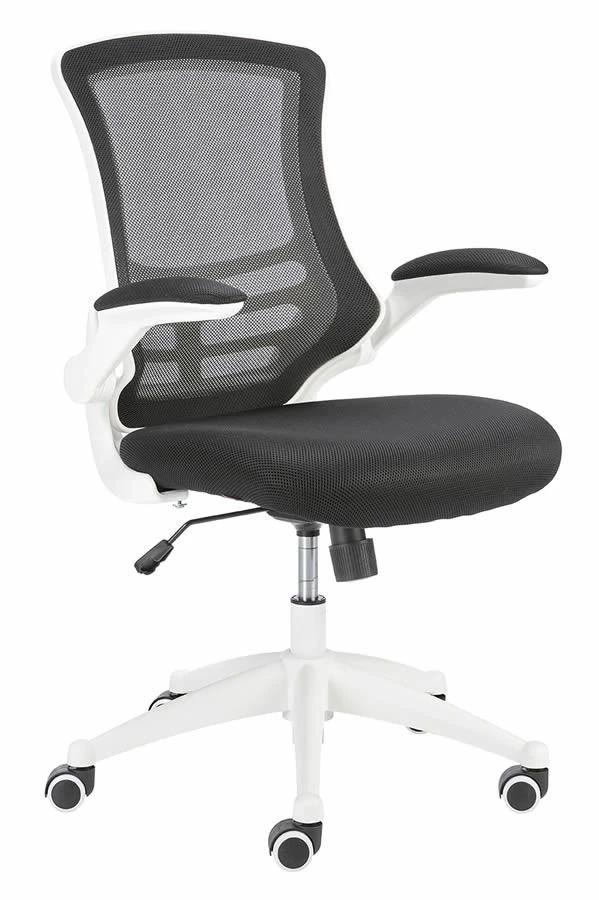 Ergo Mesh Chair 12 Ergo Mesh Chair - Image 10
