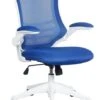Ergo Mesh Chair -Office Furniture Store ergo mesh chair 2