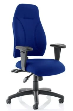 Esme Ergonomic Fabric Office Chair -Office Furniture Store esme blue