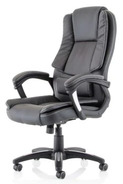 Dakota Extra Padded High Back Executive Chair -Office Furniture Store ex250 3