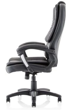 Dakota Extra Padded High Back Executive Chair -Office Furniture Store ex250 4