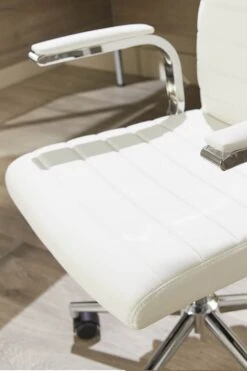 Ezra Executive Home Office Chair -Office Furniture Store ezra 8