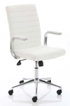 Ezra Executive Home Office Chair -Office Furniture Store ezra 9 1