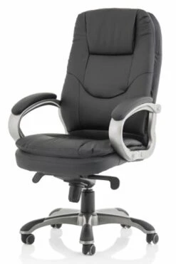 Michigan Executive Chair -Office Furniture Store michigan 2 1