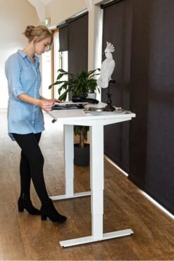 Mini Standing Desk -Office Furniture Store mini 5