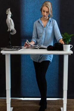 Mini Standing Desk -Office Furniture Store mini 9