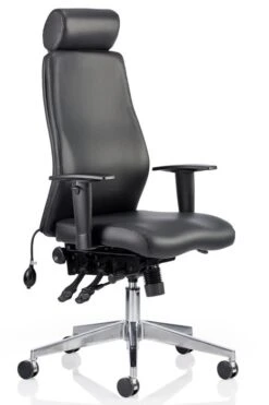 Onyx Leather Office Chair -Office Furniture Store onyx 18