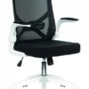 Oyster Folding Arm Office Chair