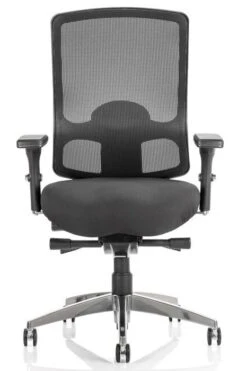 Regent Mesh Office Chair -Office Furniture Store regent 1 1
