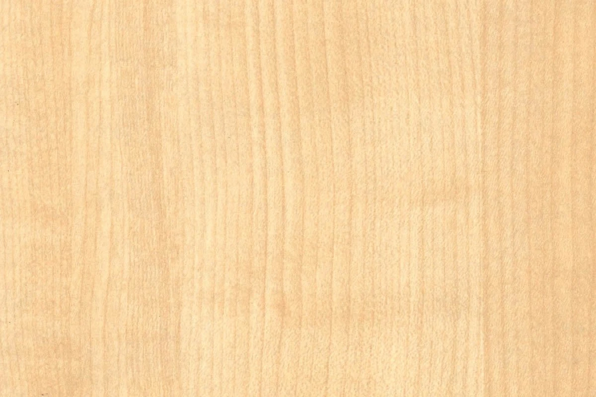 Solar Maple 1600mm Office Bookcase 4 Solar Maple 1600mm Office Bookcase - Image 2