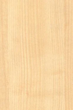 Office Furniture Store -Office Furniture Store solar maple portrait 2