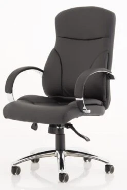 Trojan Office Chair -Office Furniture Store trojan 2 1