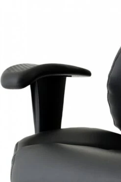 Windsor Leather Office Chair -Office Furniture Store win 3