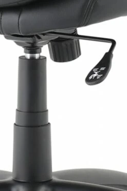 Windsor Leather Office Chair -Office Furniture Store win 5