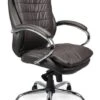 Winston Executive Chair -Office Furniture Store winston brown 1