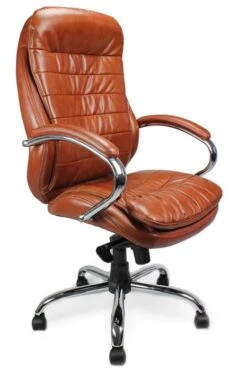 Winston Executive Chair -Office Furniture Store winston tan 1